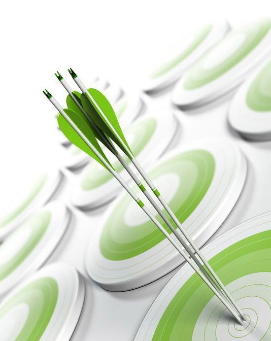 SalesEvolve-Startup-Target-Market-Introduction